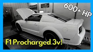 F1 Procharged 4.6L 3v Ford Mustang | Procharged Stroker Dyno Review