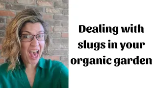 6 Organic Ways to Control Slugs in Your Garden