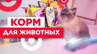 Как выбрать корм для животных? | Выбираем корм для собак и котов