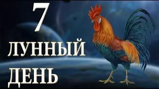 7 ЛУННЫЙ ДЕНЬ. ХАРАКТЕРИСТИКА