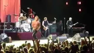 Iggy Pop "No Fun" live, 13.08.2015 in Colmar/France