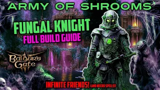 FUNGAL KNIGHT - Paladin/Spore Druid Build + Gear | Baldur's Gate 3