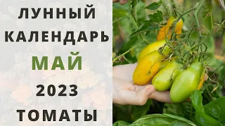 ТОМАТЫ: лунный посевной календарь на МАЙ 2023! Когда сажать / сеять семена помидоров на рассаду?