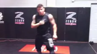 Frank Mir