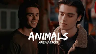 Marcus Baker || Animals [Ginny and Georgia]