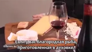 Нос вина Жан Ленуар Выбор вин  Гастрономические сочетания rus