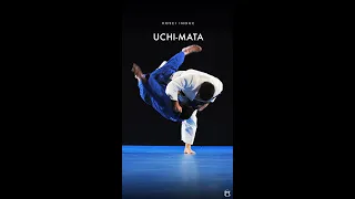 Kosei Inoue - Uchi mata Is there really anything else to say? #FightingFilms   #Judo #TeamFF