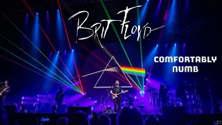 Brit Floyd - Comfortably Numb