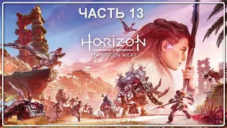 HORIZON FORBIDDEN WEST (Запретный Запад)  – Часть 13 – Прохождение PS5 4К