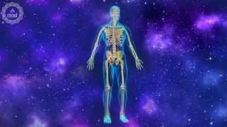 Healing Your Nervous System | Central Nervous System Health | Calm Down Your Nervous System | 528 Hz