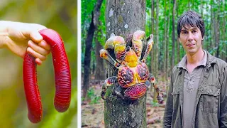 20 Biggest Animals Ever Found In The World