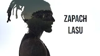 Mesajah - Zapach Lasu