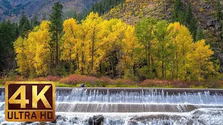 4K Fall Nature - Rudens ūdenskritumi - Vašingtonas štatā - 3 HRS nomierinošais ūdens skaņa