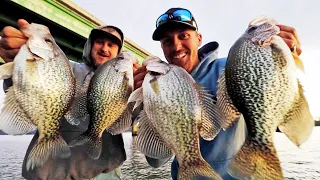 BRIDGE HOPPING For GIANT CRAPPIE! (Lake Guntersville)