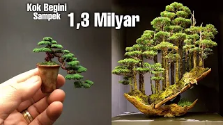 Inilah 5 Bonsai Termahal dan terbaik Didunia, POHON KERDIL YANG UNIK