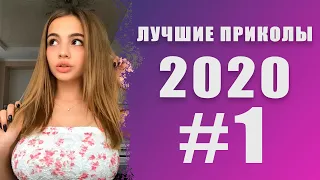 СМЕХ ДО СЛЁЗ l ЛУЧШИЕ ПРИКОЛЫ 2020 НОЯБРЬ #1