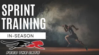 Why Max Velocity Training Should Be a Priority: Sprinting In-Season to Build Speed