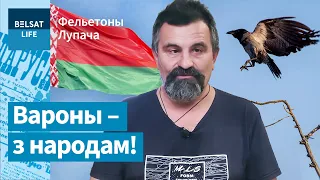 Птушкі-экстрэмісты атакавалі ЧЗ-сцяг | Птицы-экстремисты атаковали КЗ-флаг