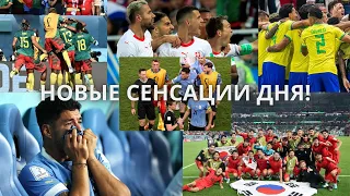 Чемпионат мира по футболу 2022. Вылет Уругвая и драма Камеруна