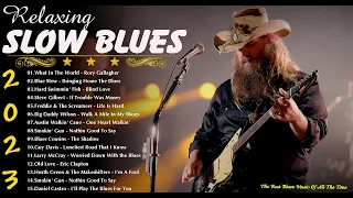 Best Slow Blues 2023 - Relaxing With Blues Music - Best Slow Blues Songs Ever