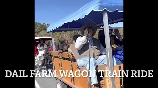 NC Work Horse  And Mule Association Wagon Train Ride Ayden, NC