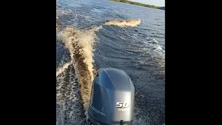 Yamaha f50 (60hp) Buster lx 2016 kiihdytys