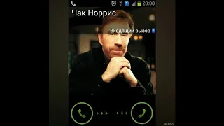 Мемы про Чака Норриса и его удар!