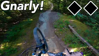 WHISTLER BIKE PARK DOUBLE BLACK TECH! - FITZSIMMONS ZONE