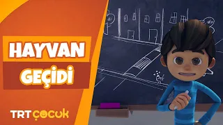 RAFADAN TAYFA | HAYVAN GEÇİDİ | TRT ÇOCUK