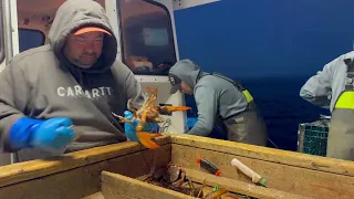 Lobster Fishing with Captain Adam 4k30