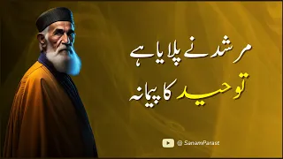 Murshid Ne Pilaya Hai Toheed | Qawwali | Irfani Kalam | Latest | Sufism