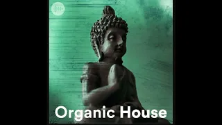 Organic House Deep Mix