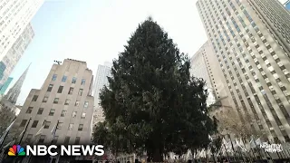 The family behind this year’s Rockefeller Center Christmas Tree