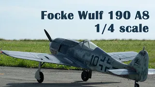 Focke Wulf 190 A8. 1/4 Scale. 2620mm. DLE 120cc engine +electric starter. Weight 23.5kg. Compozite.