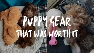 PUPPY GEAR that helped me & my Havanese survive the puppy stage