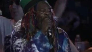 George Clinton & the P-Funk All-Stars - Up For The Down Stroke Incomplete - 7/22/1999 (Official)