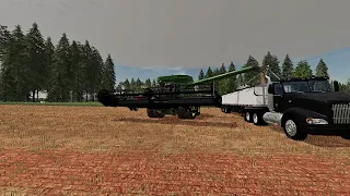 The Start Of Bean Harvest | Red Dirt County | Fs19 (Tiredbogs Server)