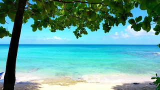 Beach paradise in the Dominican Republic