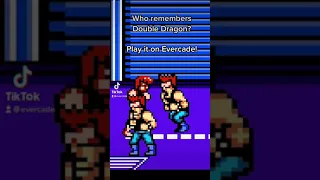 Five years of Double Dragon. All playable on Evercade!