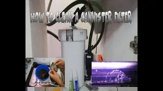 How to Clean a Cannister Filter (External Filter)