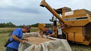 Майже кінець жнив, але лишилося трішки. Сампо 500.