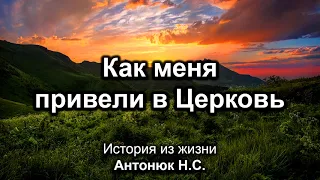 Как меня привели в Церковь. Антонюк Н.С. Истории из жизни. МСЦ ЕХБ