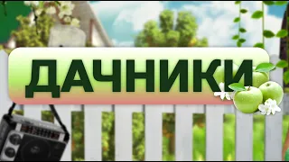 Один подвой, разные сорта: делаем прививки, чтобы груши, яблони и сливы дали богатый урожай