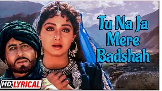 तू ना जा मेरे बादशाह - Tu Na Ja Mere Badshah | Amitabh Bachchan | Sridevi | Khuda Gawah | HD Lyrical