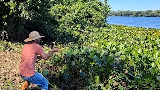 O RIO ABAIXO E OS PEIXE FICO LOCO , SÓ PEGAMOS GIGANTES E FIZEMOS FRITO NA BEIRA DO RIO./PESCARIA.