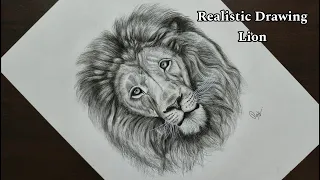 Lion Realistic Drawing  #lion #animal #drawing #realisticdrawing