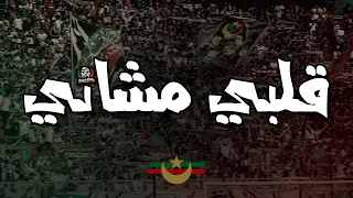 قلبي مشاني | التراس توالف بلاير | CHANT ULTRAS MOULOUDIA