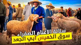 اليوم من سوق الخميس بأبي الجعد 🇲🇦سوق يتميز بسلالتة الصفراء المعروفة بجودة لحومها وثمنها المناسب 😀‼️