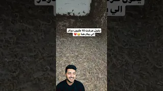 يقول عرضت 10 مليون دولارالي ينام هنا 😂💔تسوية والله العظيم متكدر 😂😹#shorts