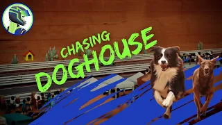 Chasing Doghouse